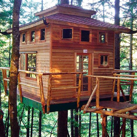 A Breath of Fresh Air: The Natural Benefits of Living in a Tree House